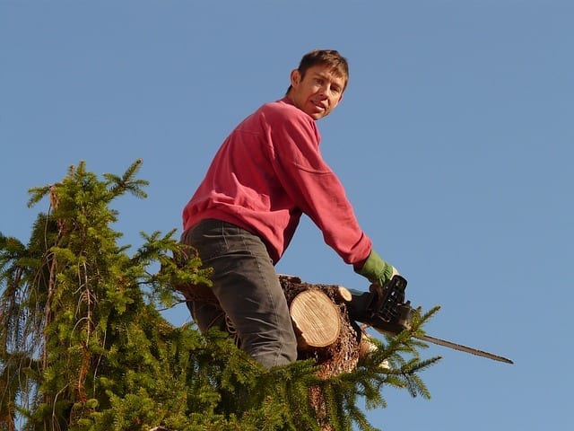 Chainsaw Accident Lawyer in Los Angeles